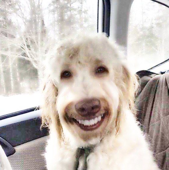 :him: